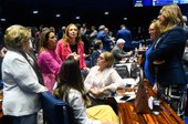 Pauta feminina avançou no Senado no primeiro semestre