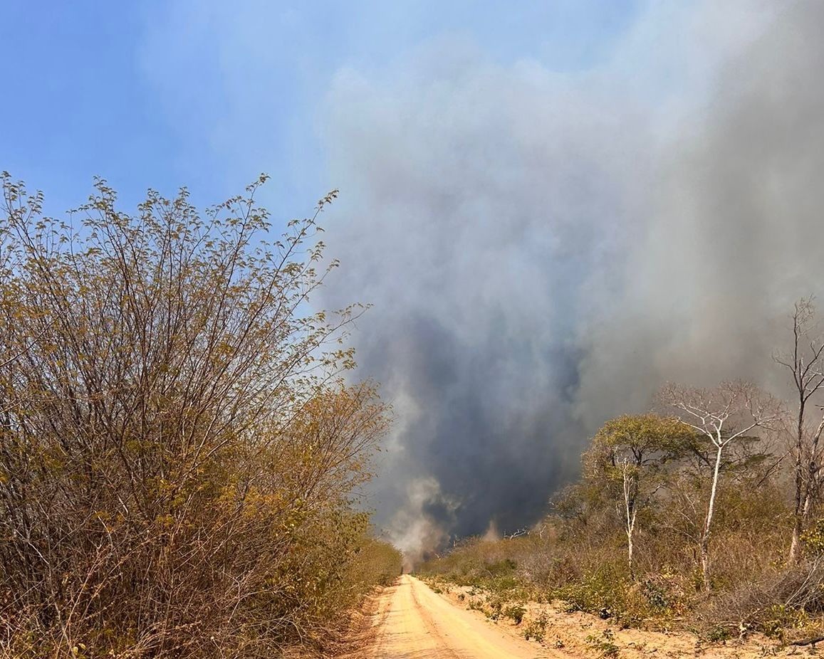 Semarh aponta diminuição de 47% dos incêndios florestais