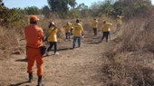 Semarh identifica 130 focos de incêndios e intensifica ações de combate ao fogo