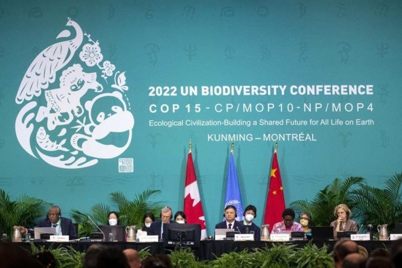 200 países assumem acordo histórico pela biodiversidade