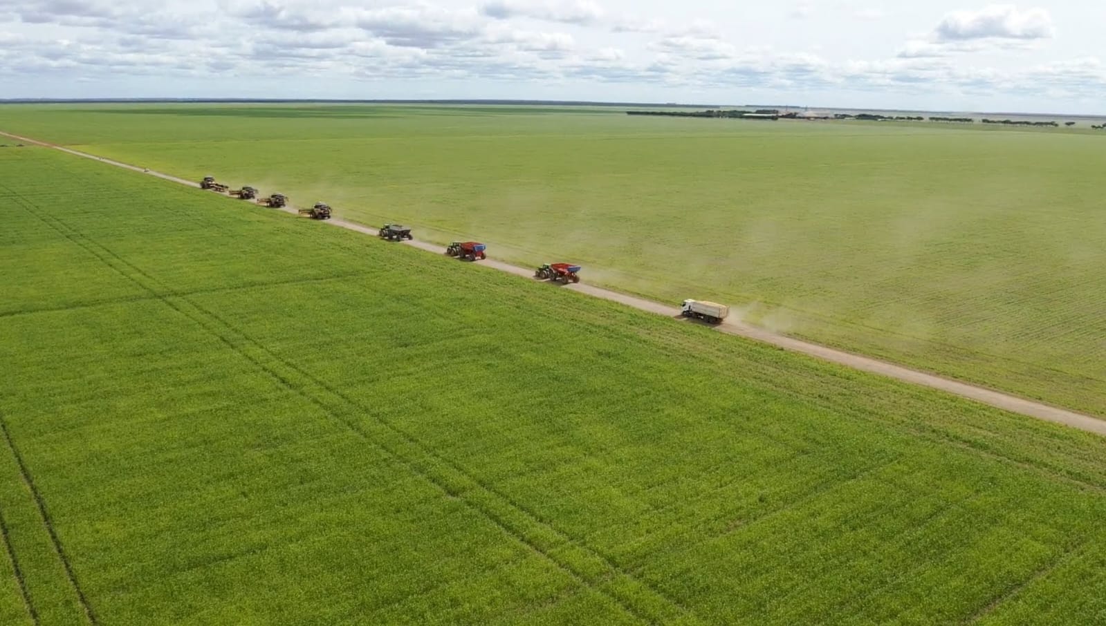 2023: Piauí terá 7° ano seguido de recorde na produção de grãos