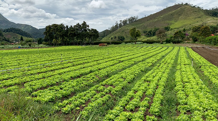 32% dos solos do país têm potencial natural para a agricultura