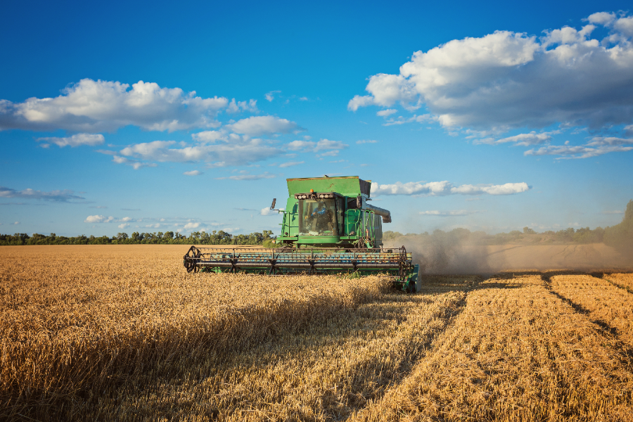 Agro gera mais empregos e especialistas preveem efeito positivo