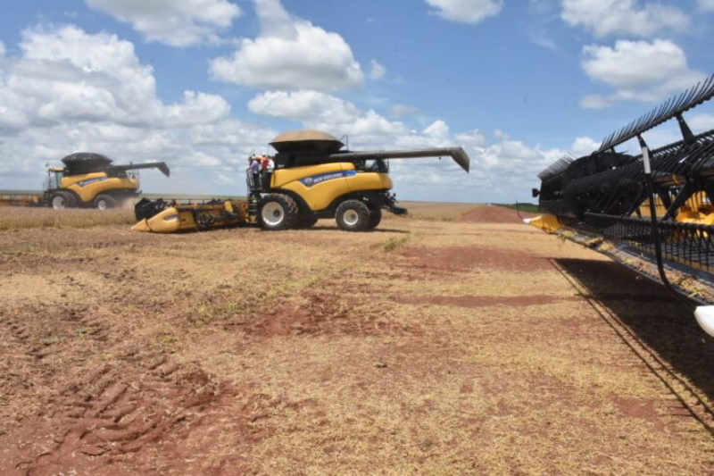 Agropecuária teve redução de quase metade das pessoas ocupadas