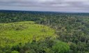 Alertas de desmatamento na Amazônia caem 10,6% em agosto