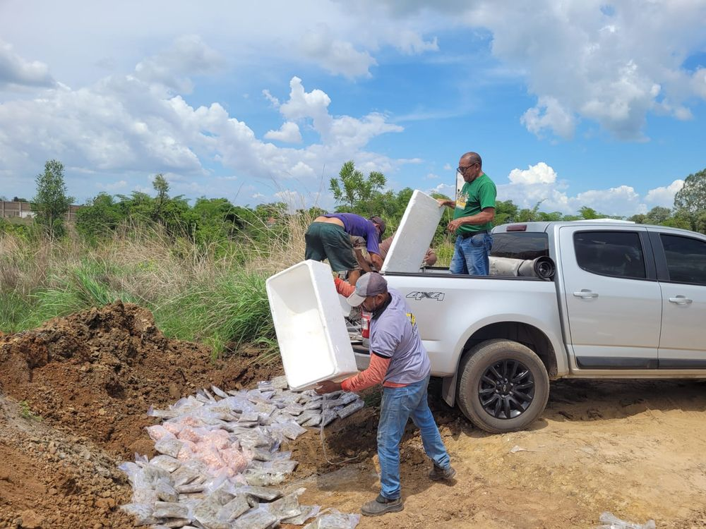 Apreendida uma tonelada de camarão na BR-316 em Teresina