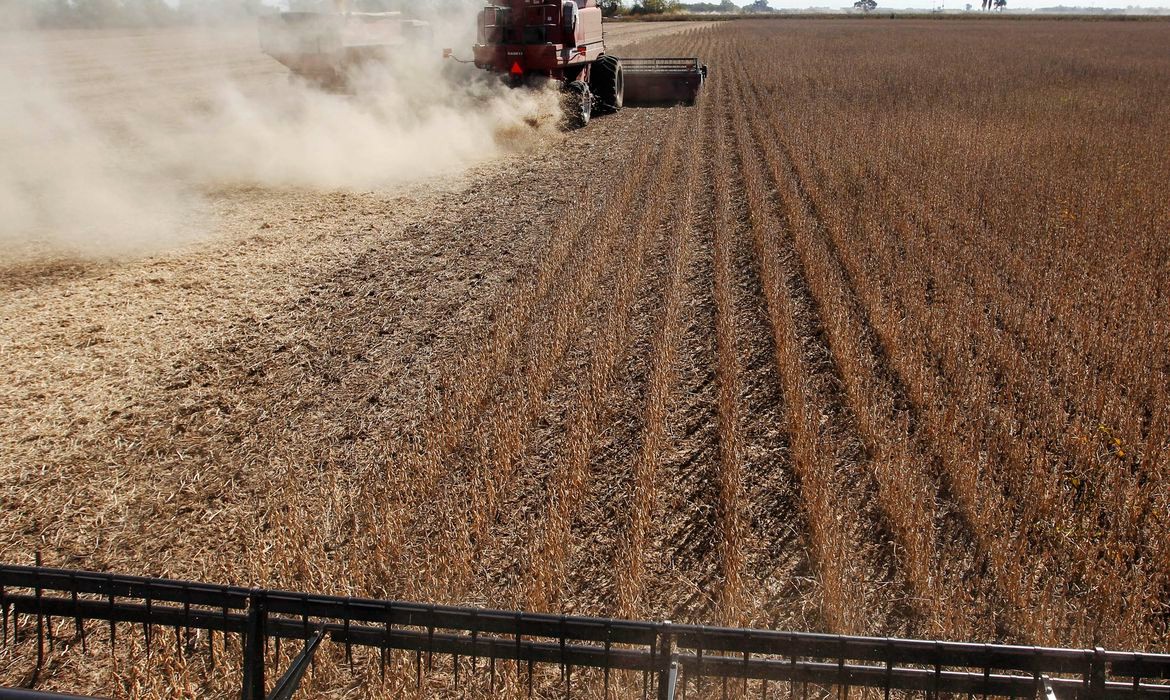 Área agrícola do Piauí cresce 282% em 20 anos, aponta IBGE