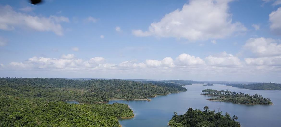 Banco Mundial discute ação climática e crescimento para o Brasil