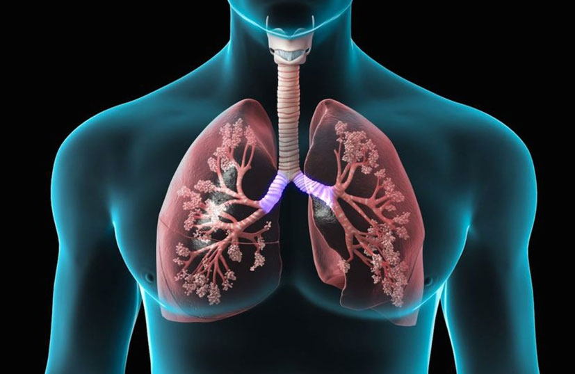 Boletim InfoGripe indica aumento de Síndrome Respiratória Aguda Grave em adultos