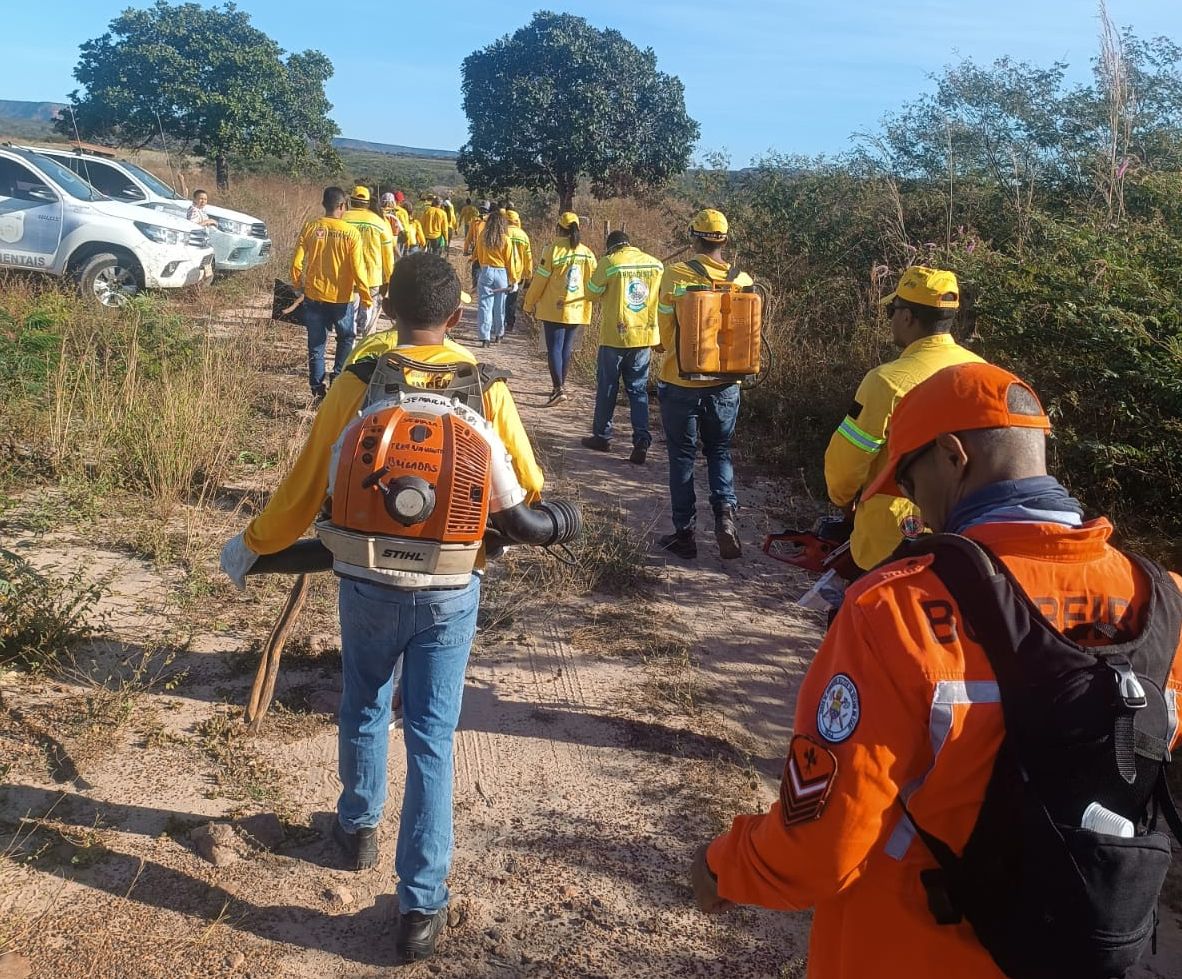 Bombeiros Militares, Bopaer e brigadistas intensificam combate a incêndios florestais no Piauí