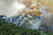 Brasil retrocede no combate ao aumento de emissões de CO2, aponta ONU