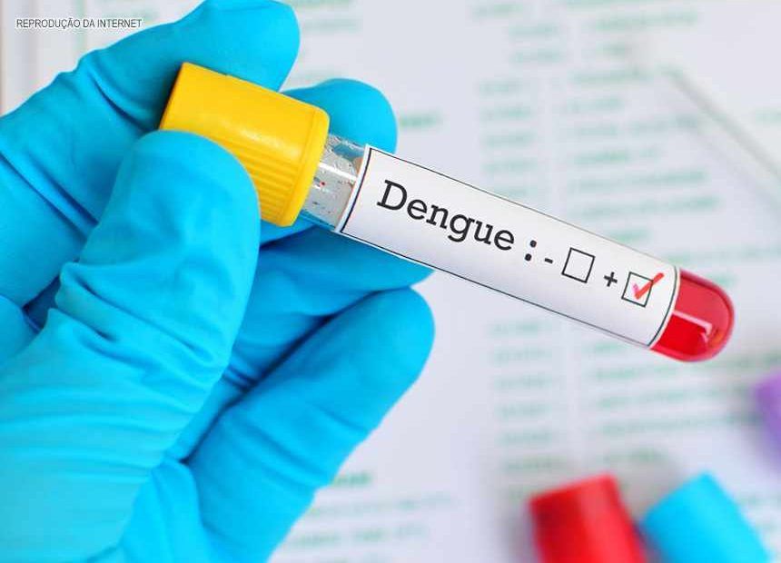 Brasil se aproxima de 1 milhão de casos prováveis de dengue