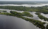 Brasileiro tem sentimento de vulnerabilidade ecológica e climática