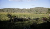 Campeãs em desmatamento, terras privadas têm 62% do Cerrado