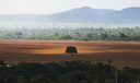 Cerrado supera Amazônia como bioma mais devastado no país