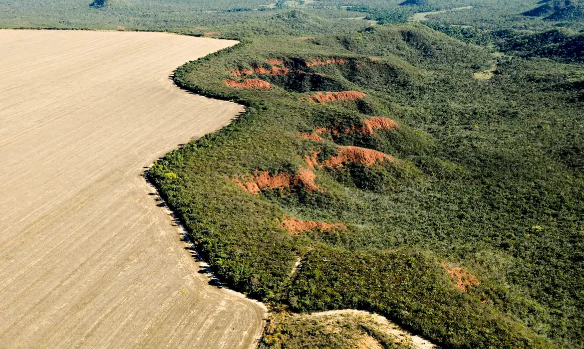 Cerrado tem alta de 19% nos alertas de desmatamento 