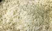 Conab compra 263,3 mil toneladas de arroz importado em leilão