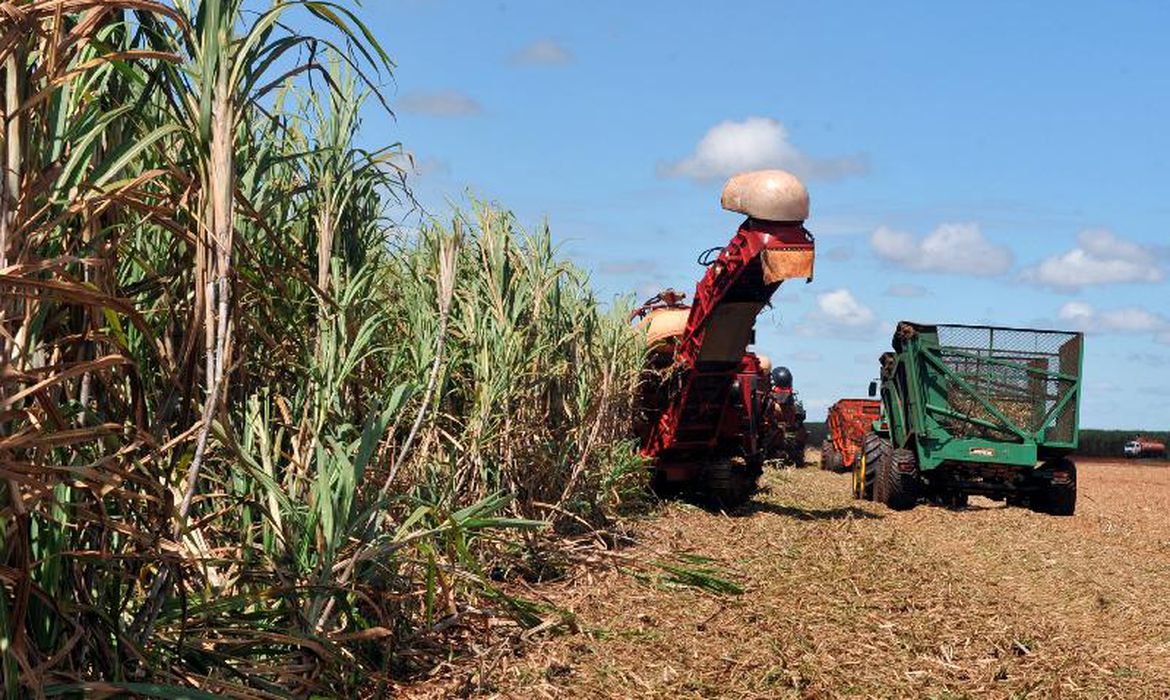 Conab reduz estimativa para produção de grãos da safra 2021/2022