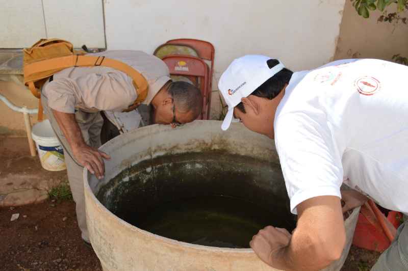 Confirmadas 2 mortes por chikungunya em Teresina