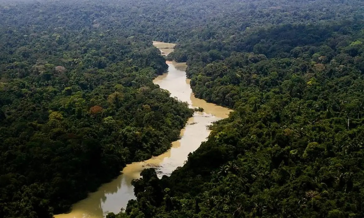 Criado plano de ação para desenvolvimento florestal no país