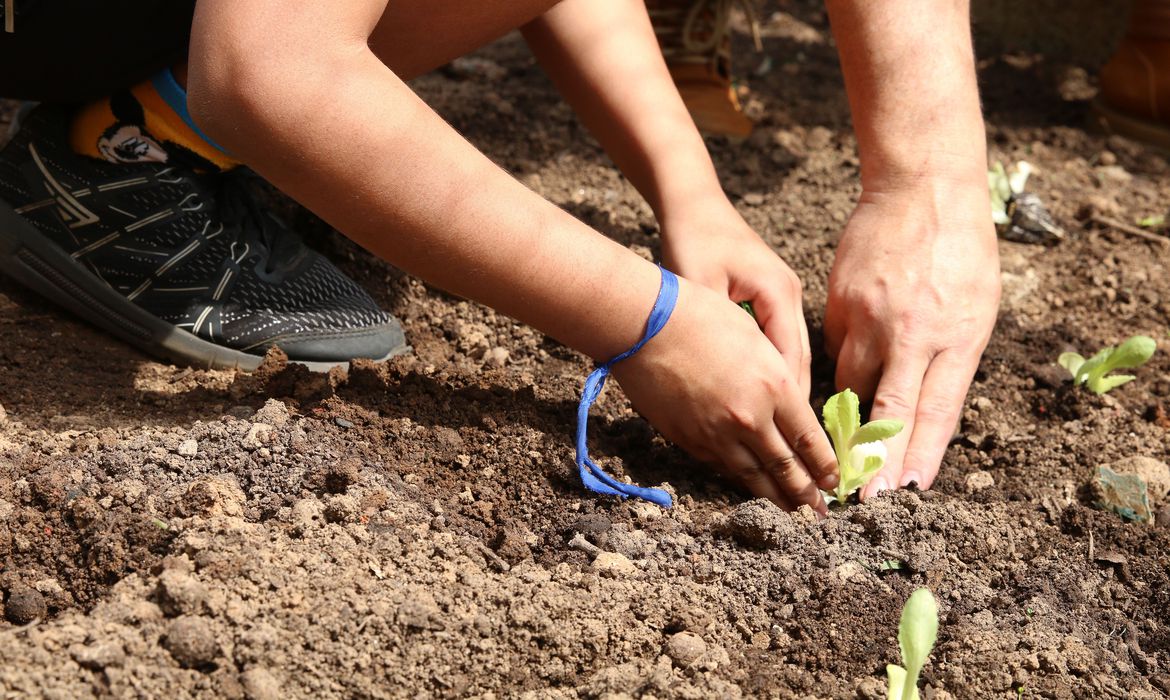 Curso orienta como levar a natureza para as escolas