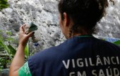 Dengue: Brasil tem 12 mortes e mais de 120 mil casos prováveis