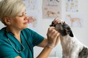 Dia do Médico Veterinário: profissional exerce papel fundamental na saúde animal