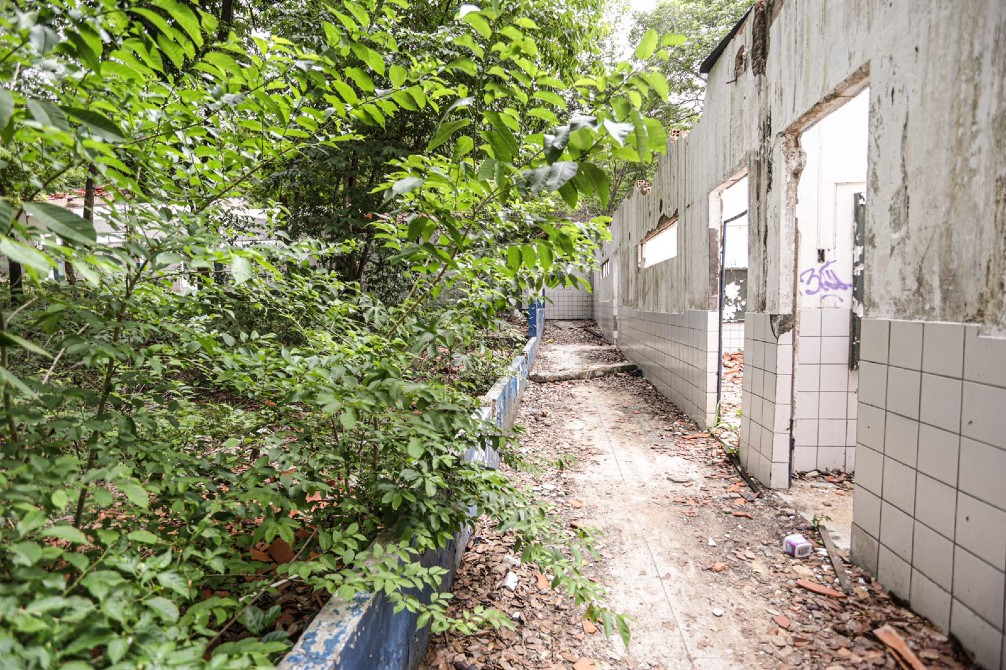 Dr. Pessoa autoriza reconstrução da Escola Ambiental 15 de Outubro