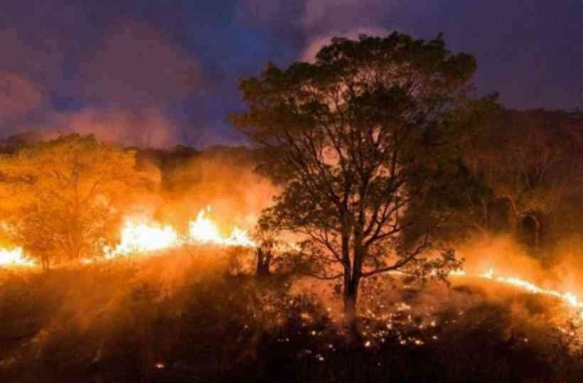 Ecoansiedade: entenda termo que nomeia medo de mudanças climáticas