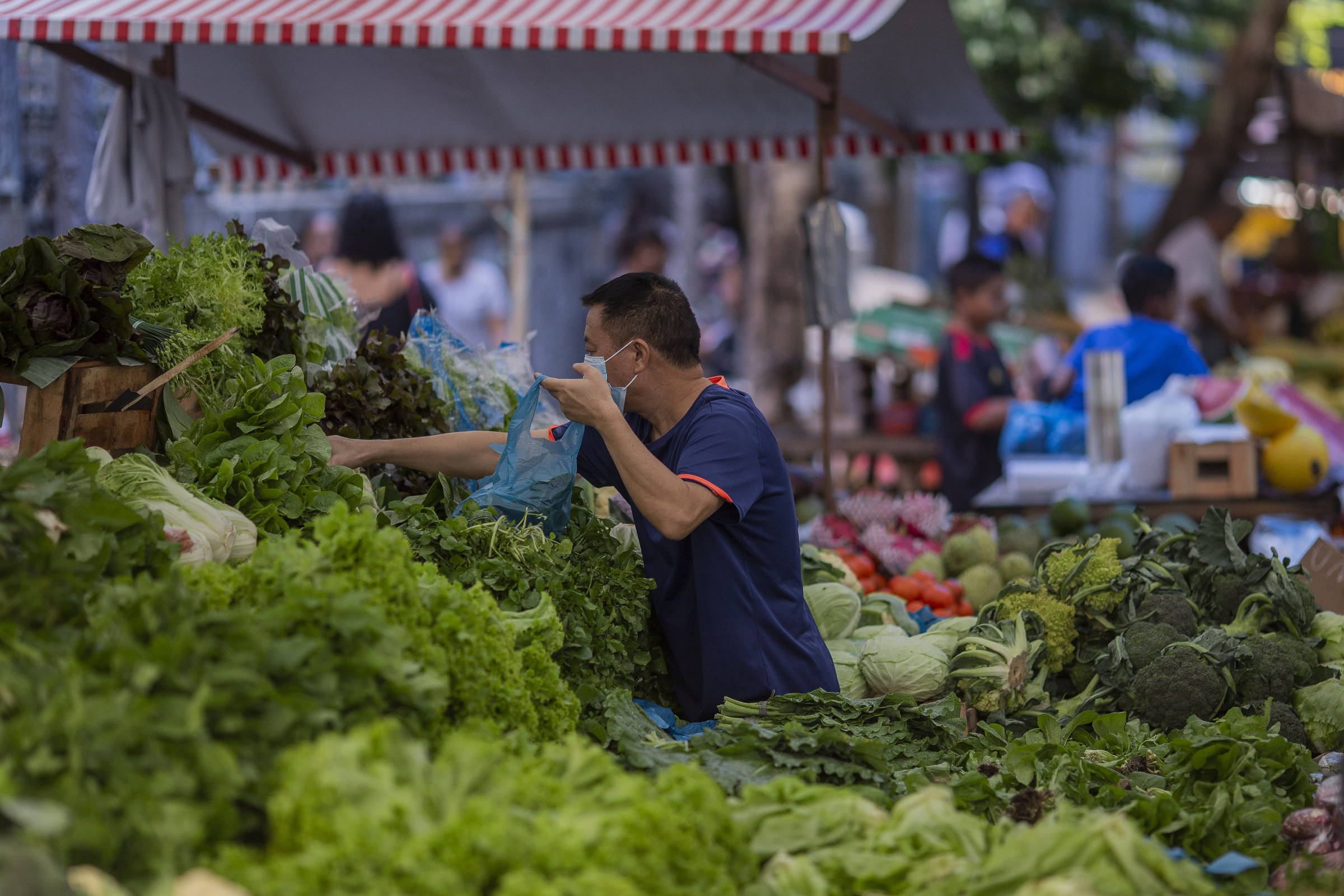 El Niño pode influenciar inflação de alimentos brasileiros no final de 2023