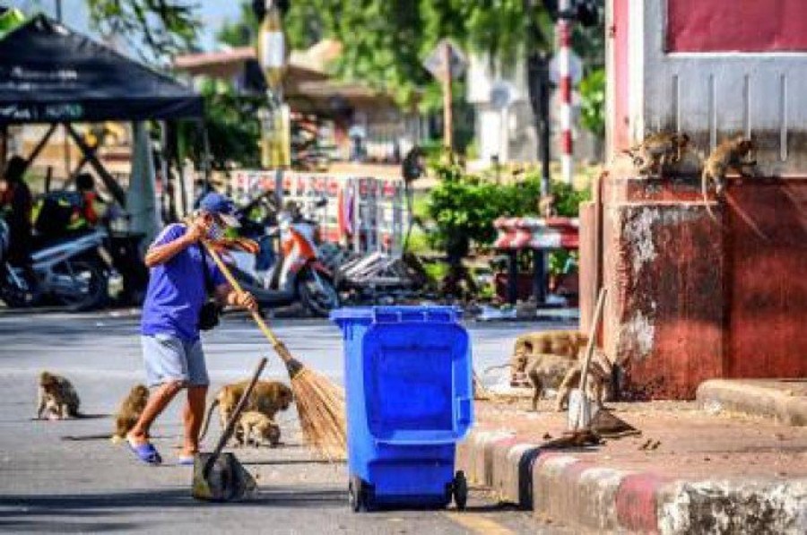 Especialistas alertam para risco de novas pandemias