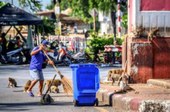 Especialistas alertam para risco de novas pandemias