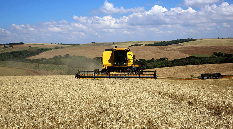 Estimativa aponta safra recorde de cereais em agosto