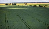 Estudo aponta desafios do seguro rural com mudanças climáticas