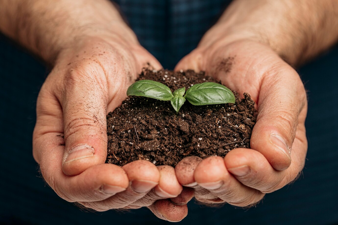 Estudo indica bioinsumo como solução sustentável na produção alimentar