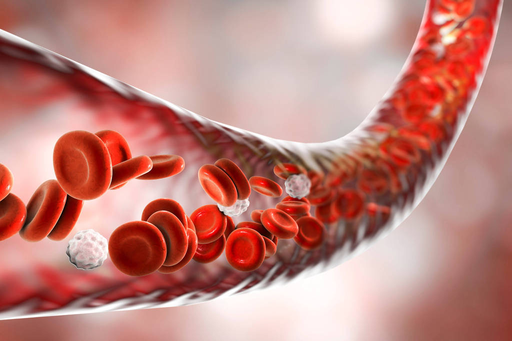 Estudo revela aumento da pressão arterial durante pandemia