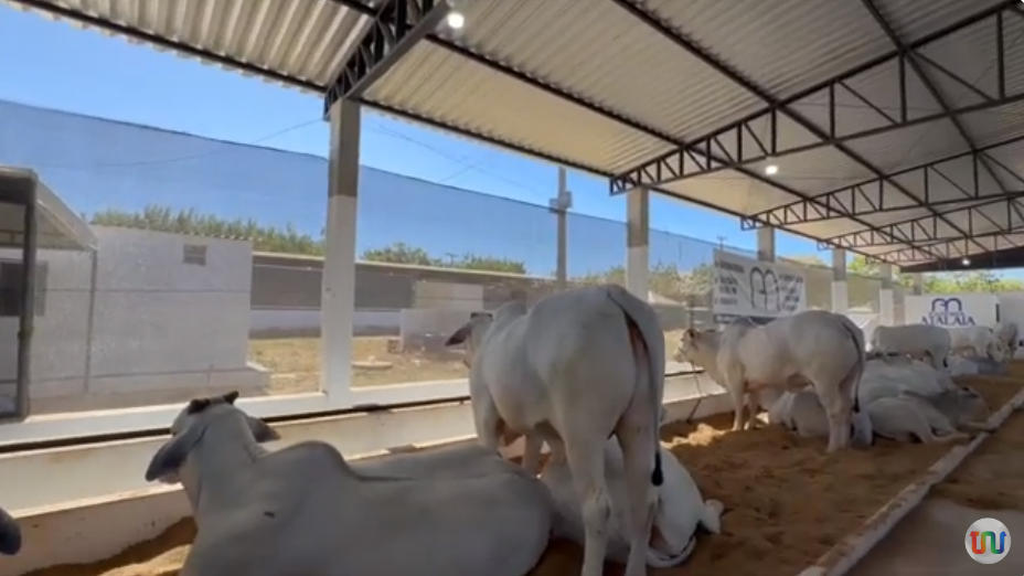 Expocorrente se transforma em um dos grandes eventos agropecuários do país