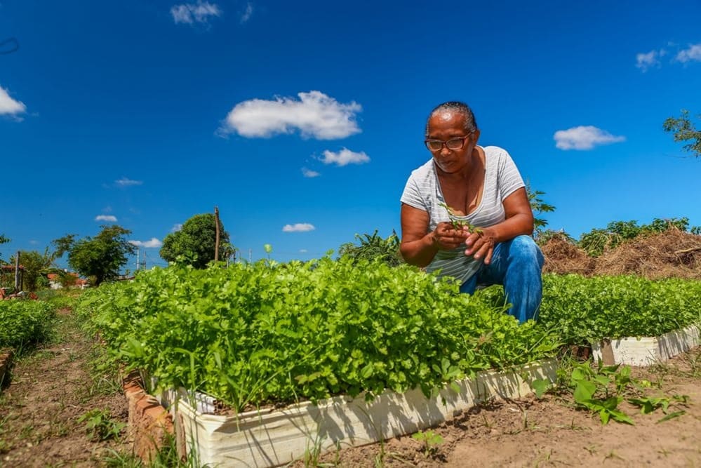 Governo anuncia crédito de R$ 600 milhões para agricultura familiar