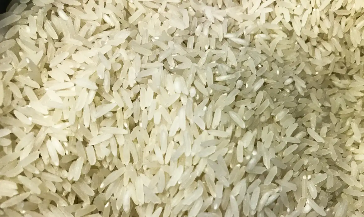 Governo marca leilão de compra de arroz importado para 6 de junho