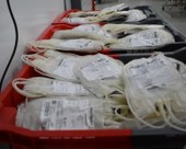 Hemopi teve acréscimo de 11% nas doações de sangue em 2021