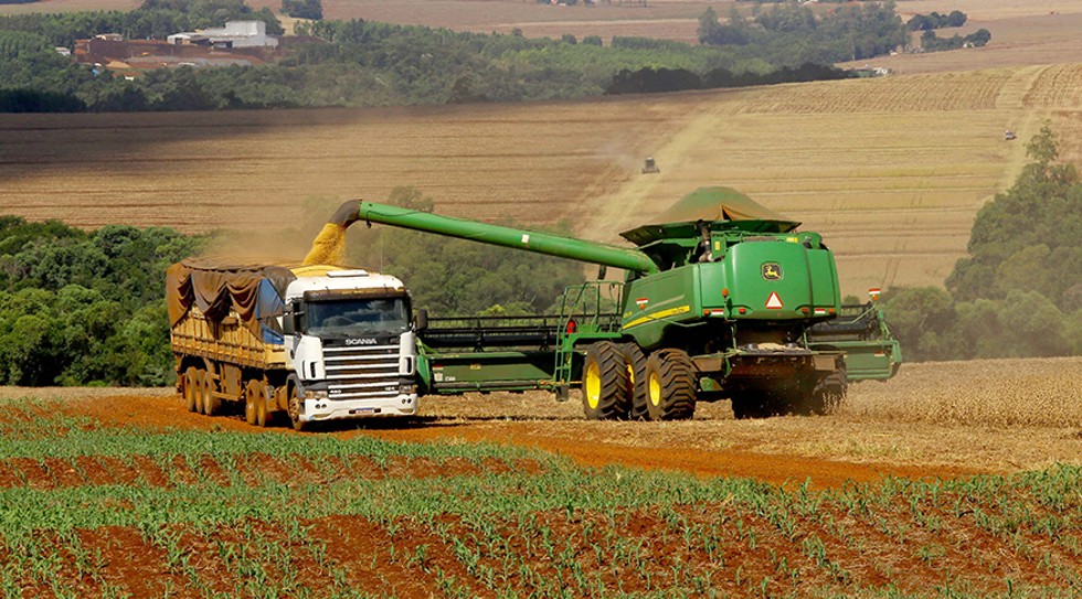 IBGE eleva para 293,6 milhões de toneladas projeção da safra 2023