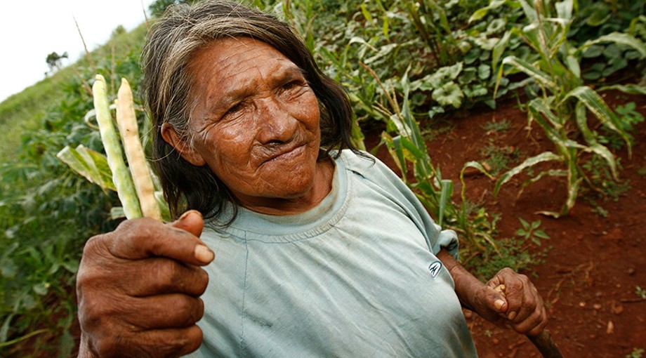 IBGE - Indígenas têm produção agropecuária com mais mulheres