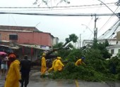 Inmet: Nordeste terá chuvas volumosas até sexta-feira