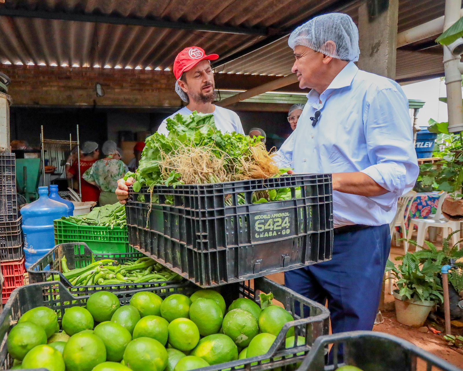 Insegurança alimentar no Brasil cai 30% e 13 milhões saem do Mapa da Fome  