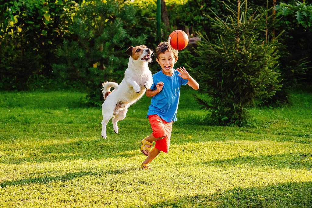 Interagir com cachorros tem efeito calmante para crianças