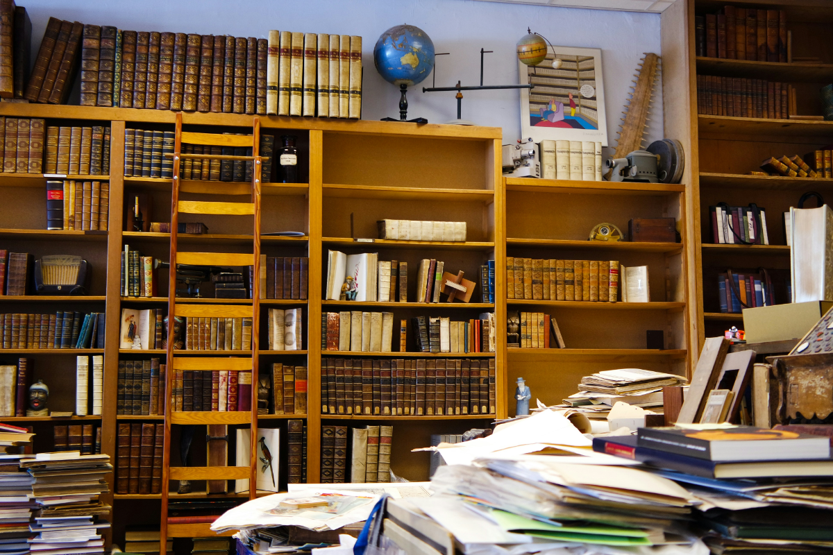 Lei cria Sistema Nacional de Bibliotecas Escolares