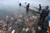 Menos de 10% do plástico do mundo é reciclado, estima OCDE