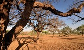 Mudanças no clima agravam abastecimento de água e segurança hídrica