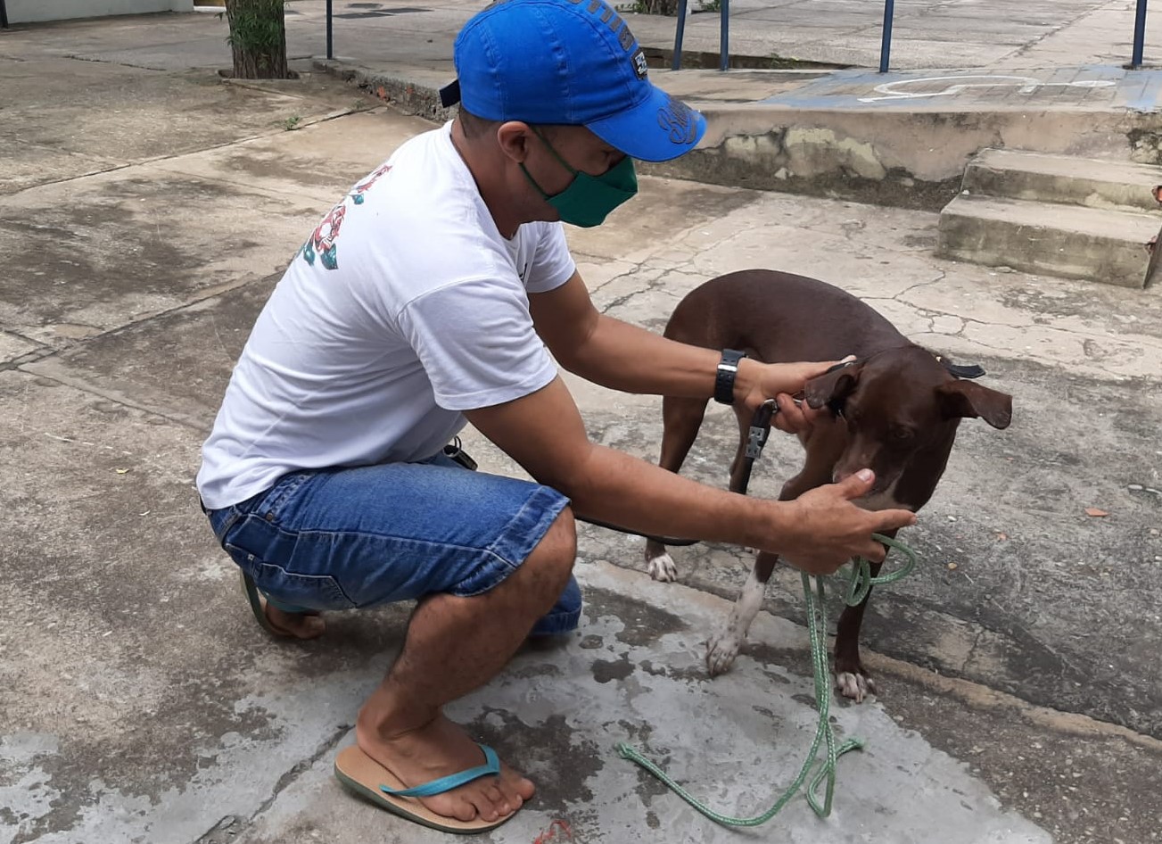 Neste sábado (20) tem vacina contra a raiva na zona rural Sul e Sudeste