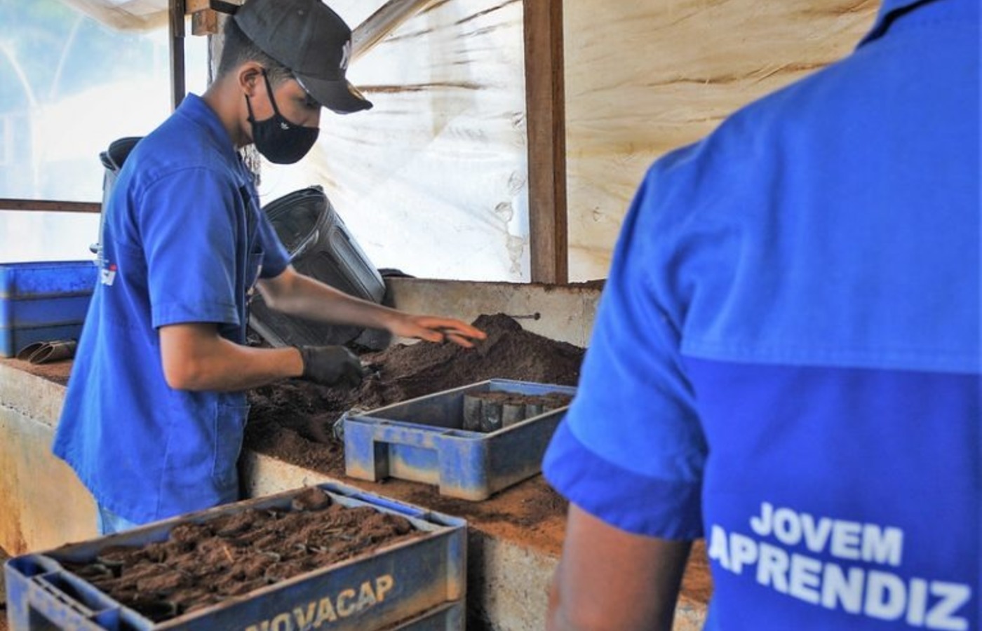 Número de jovens aprendizes pode chegar a 1 milhão com nova lei